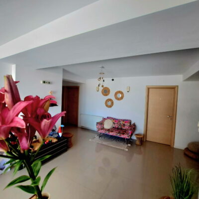 Vila Ryanna Beach Eforie Nord receptie (2)